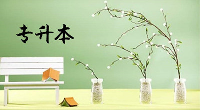 2020年成人高考专升本如何复习
