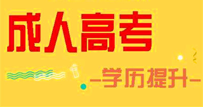 成人高考本科学历可以考公务员吗