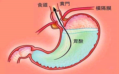2019年成人高考专升本医学综合核心考点