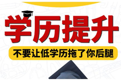 成人高考 网络教育和自考哪个更好