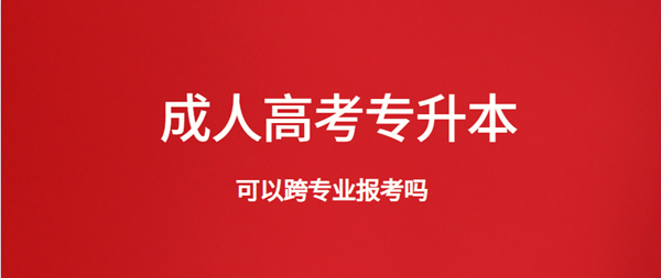 云南成人高考专升本可以跨专业报考吗