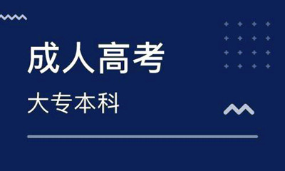 2020年成人高考语文复习重点