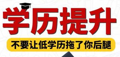 函授专升本和自考哪个更好