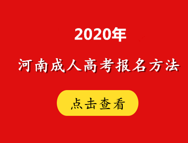 2020年河南方法