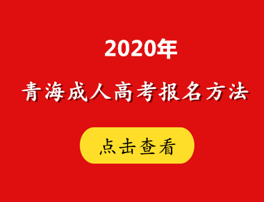 2020年青海方法