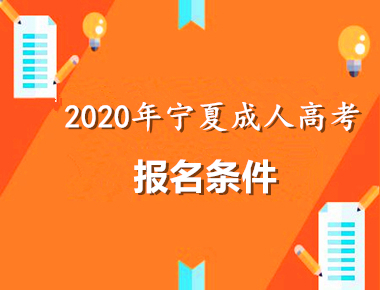 2020年宁夏条件