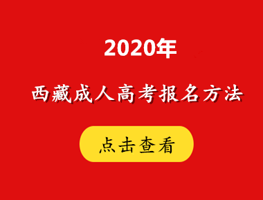 2020年西藏方法