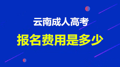 云南成人高考函授报名费