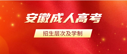 2020年安徽成人高考招生层次