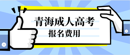 2020年青海费用