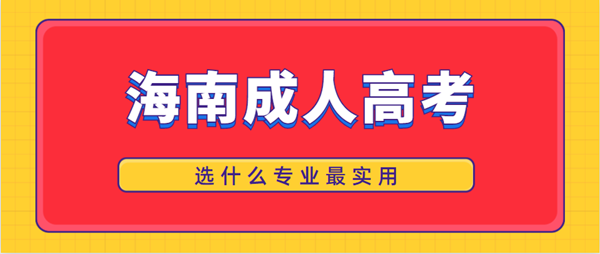 海南成人高考选什么专业最实用