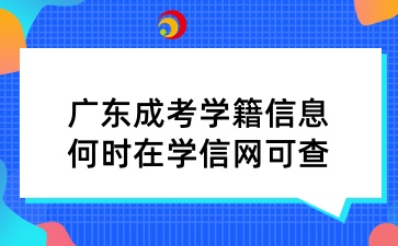 广东成考学籍信息何时在学信网可查