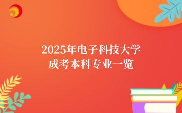 2025年电子科技大学成考本科专业一览
