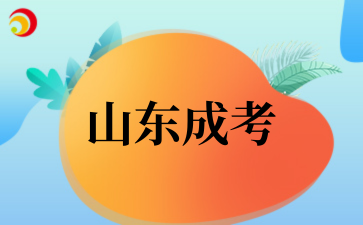 2‌025年‌‌‌‌‌‌‌山东成考学习方式有哪些