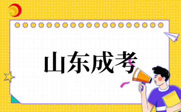 2025年山东成考补录结果查询时间
