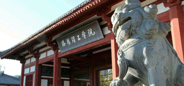 洛阳理工学院